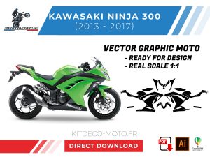 template vector kawasaki ninja 300 2013 2017