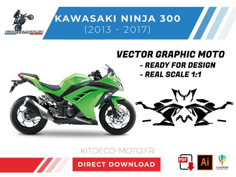 vector de plantilla kawasaki ninja 300 2013 2017