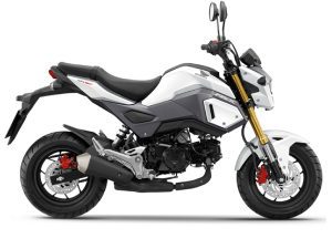 Kit déco Honda 125 MSX