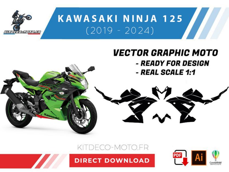 template kawasaki ninja 125 (2019 2024) vector